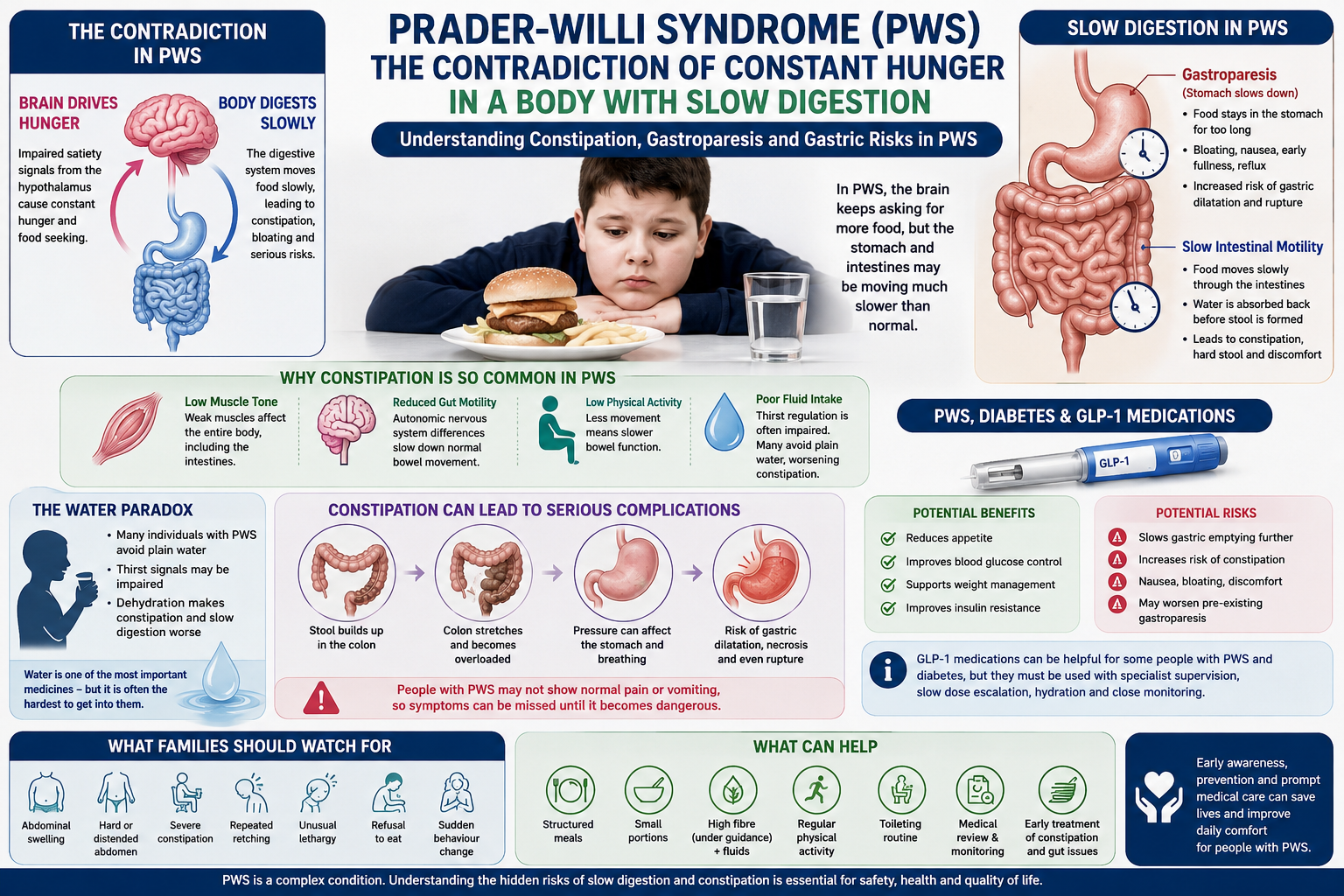 The Great Contradiction of Prader-Willi Syndrome: Constant Hunger in a Body Designed for Slow Digestion